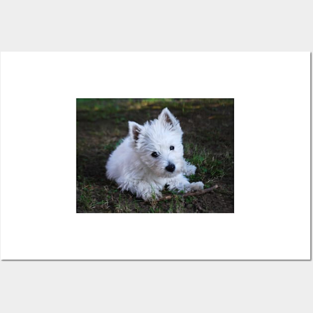 Westie Wall Art by princess-pirate